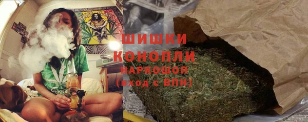 дживик Верхний Тагил