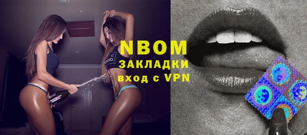 дживик Верхний Тагил