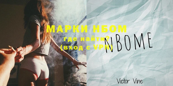 дживик Верхний Тагил